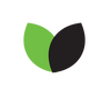 Vegan