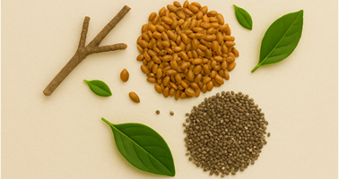 Omega-3 Fatty Acids