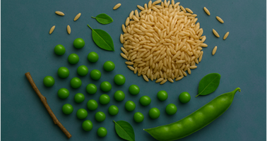 Vegan Protein